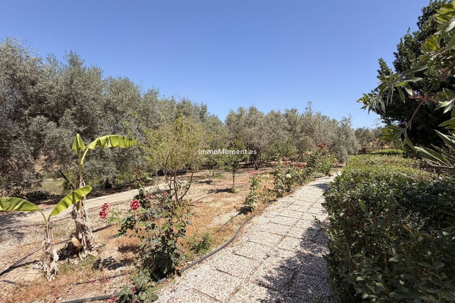 Reventa - Casa de campo - Interior  - Alhaurín el Grande Centro