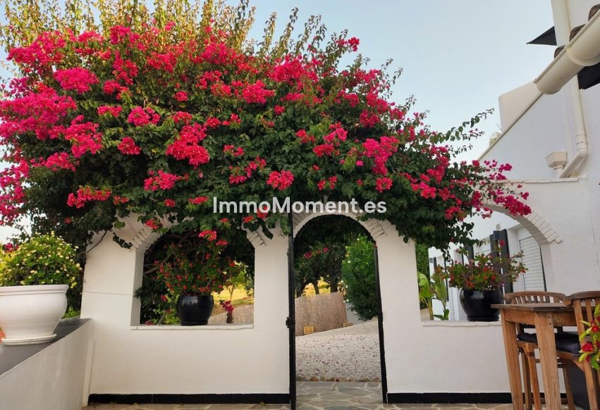 Reventa - Casa de campo - Interior  - Alhaurín el Grande Centro