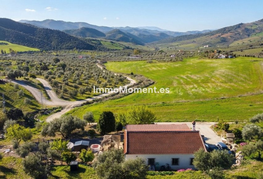 Reventa - Casa de campo - Interior  - Alora