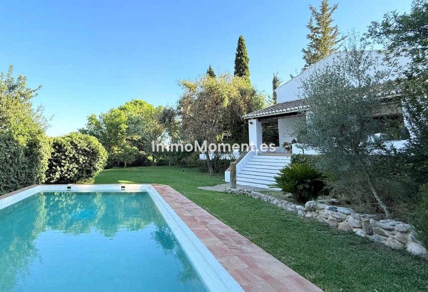 Reventa - Casa de campo - Interior  - Alora