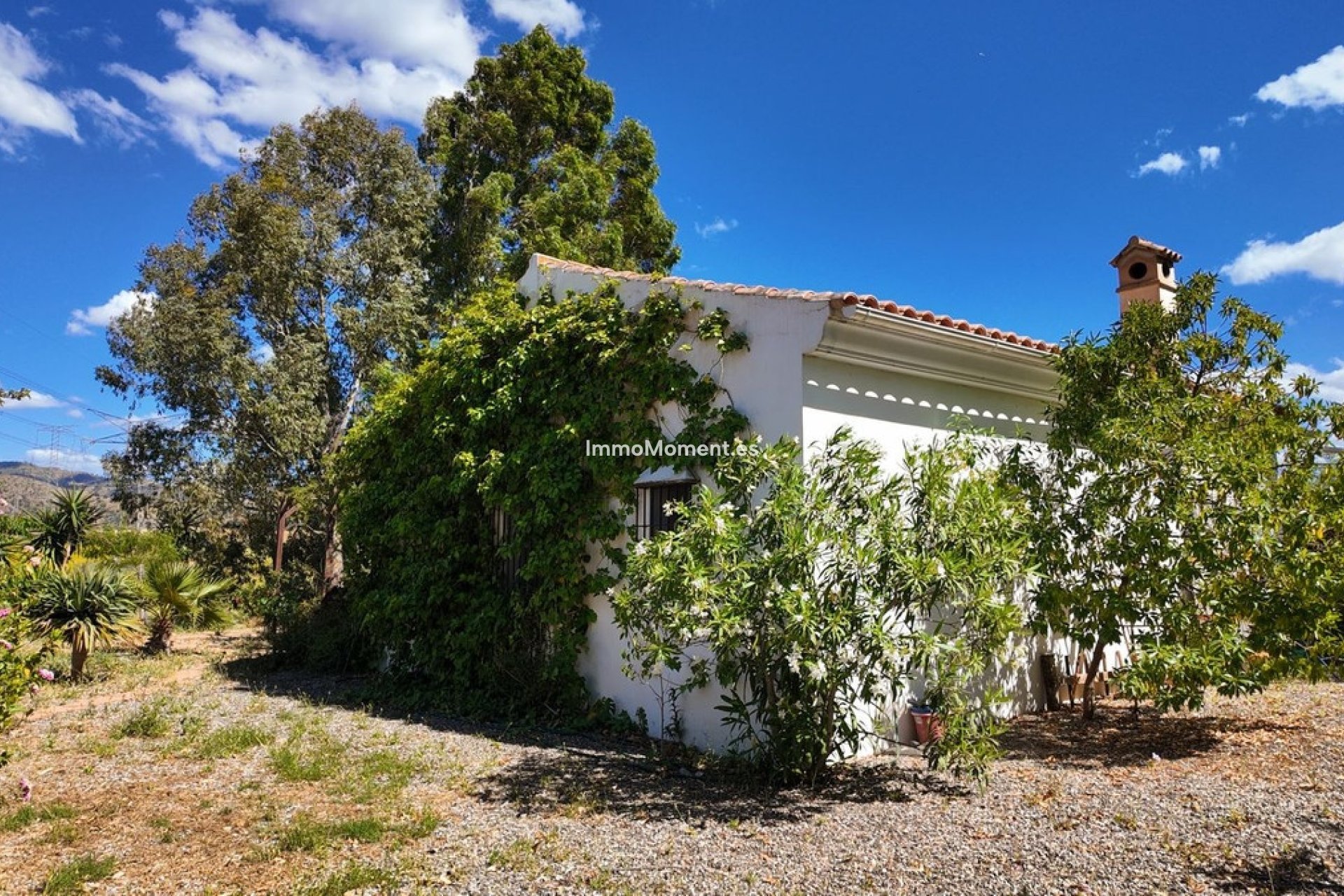Reventa - Casa de campo - Interior  - Alora