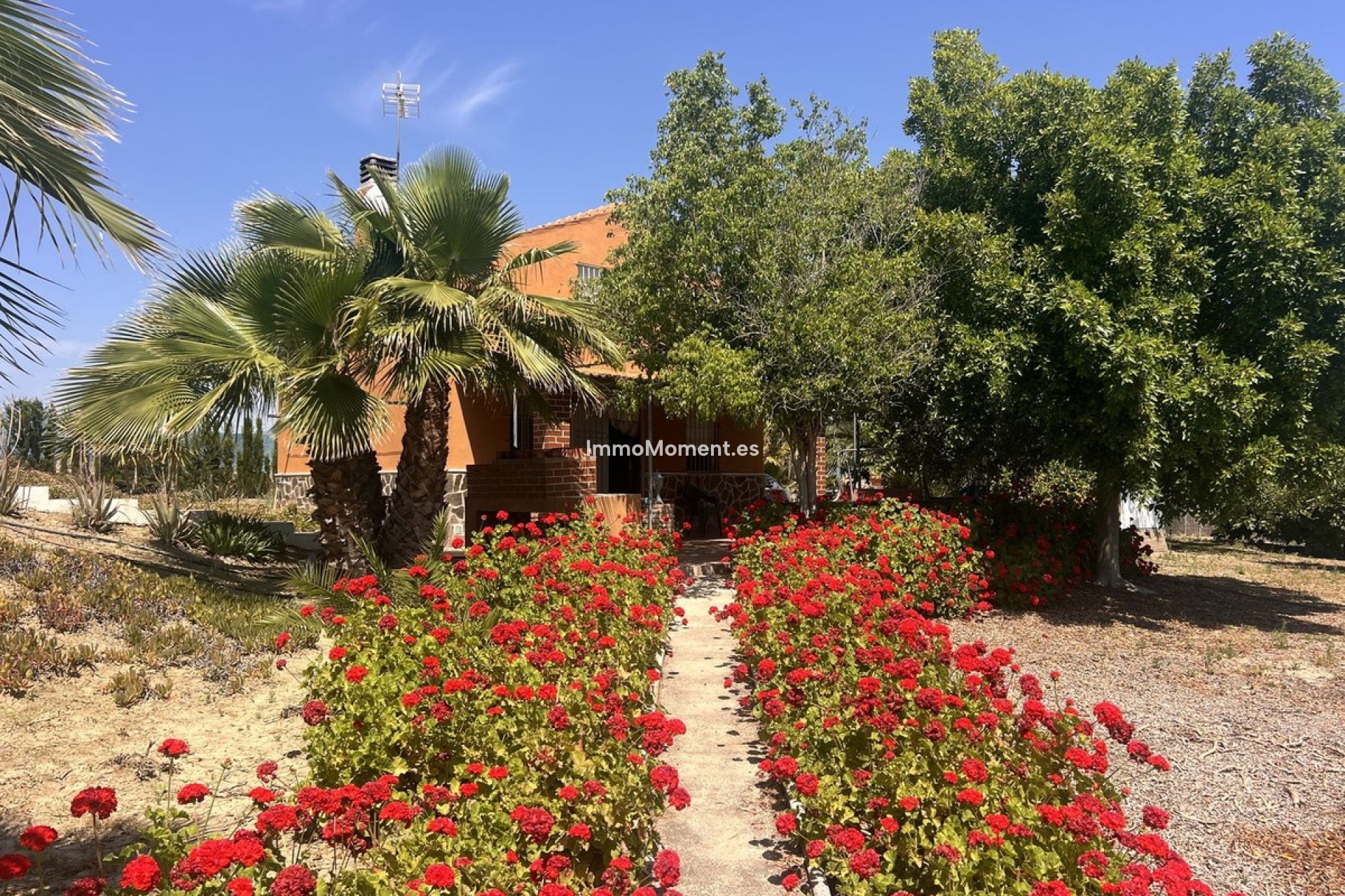 Reventa - Casa de campo - Interior  - Cártama Centro