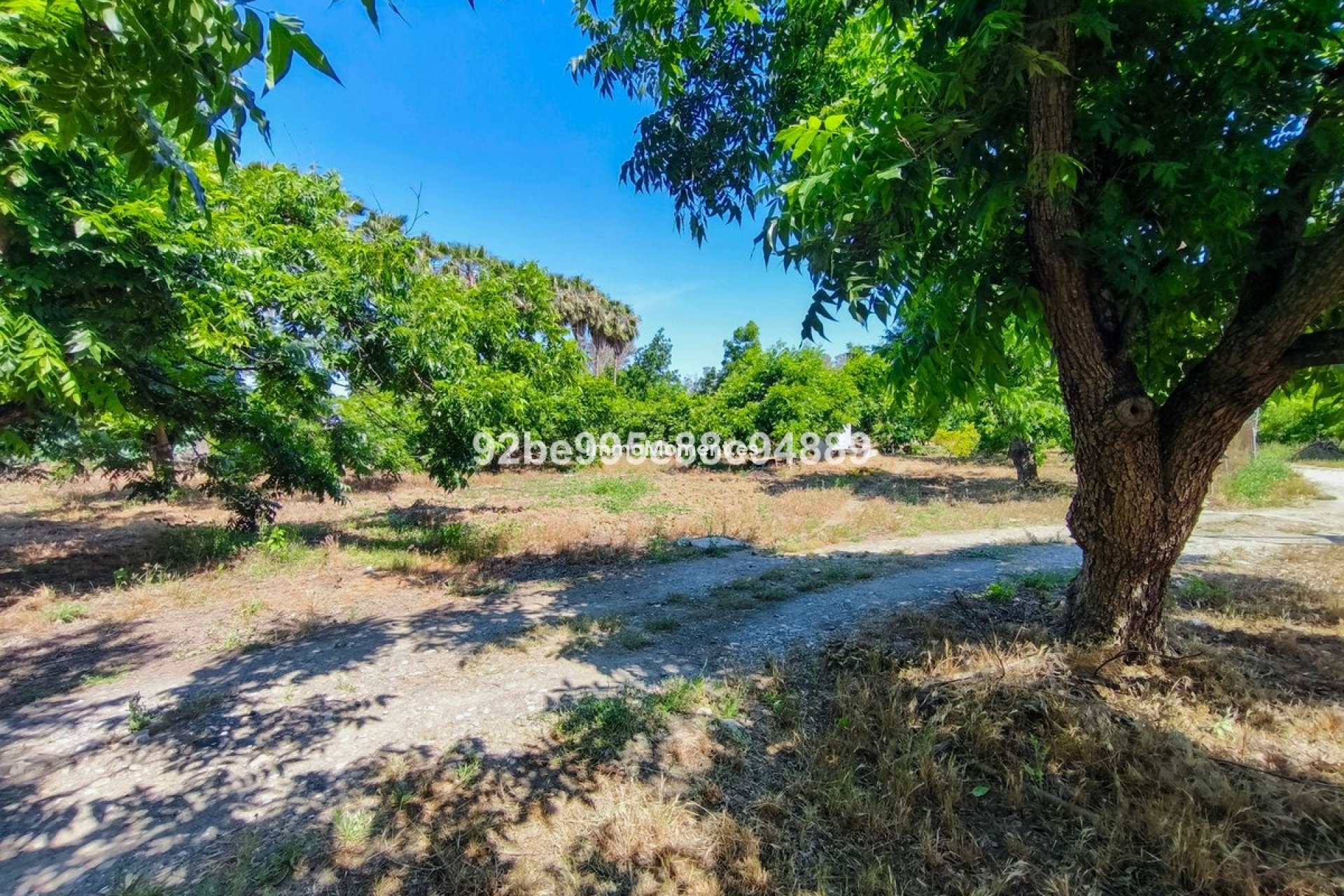Reventa - Casa de campo - Interior  - Coín