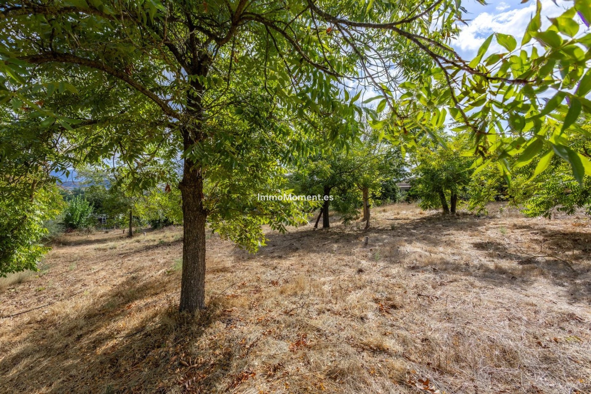 Reventa - Casa de campo - Interior  - Coín