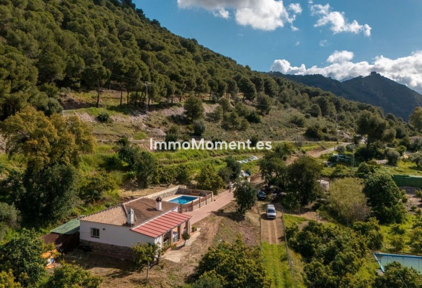 Reventa - Casa de campo - Interior  - Coín