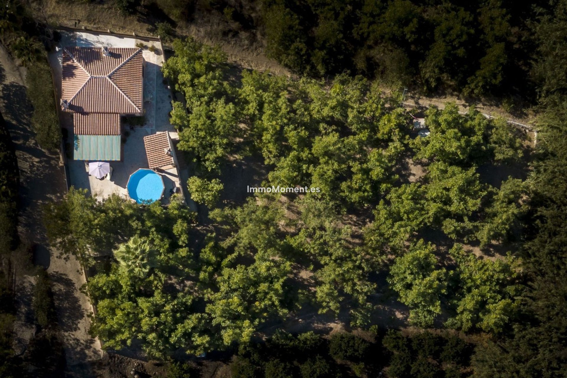 Reventa - Casa de campo - Interior  - Coín
