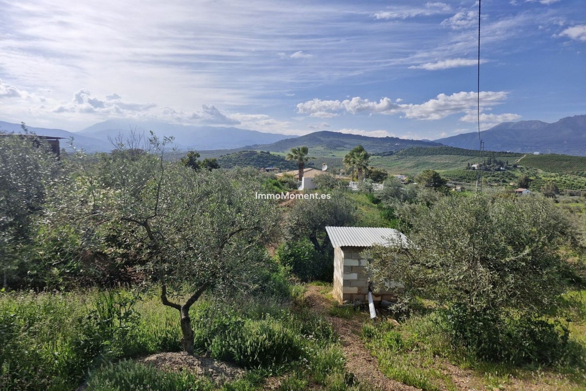 Reventa - Casa de campo - Interior  - Coín