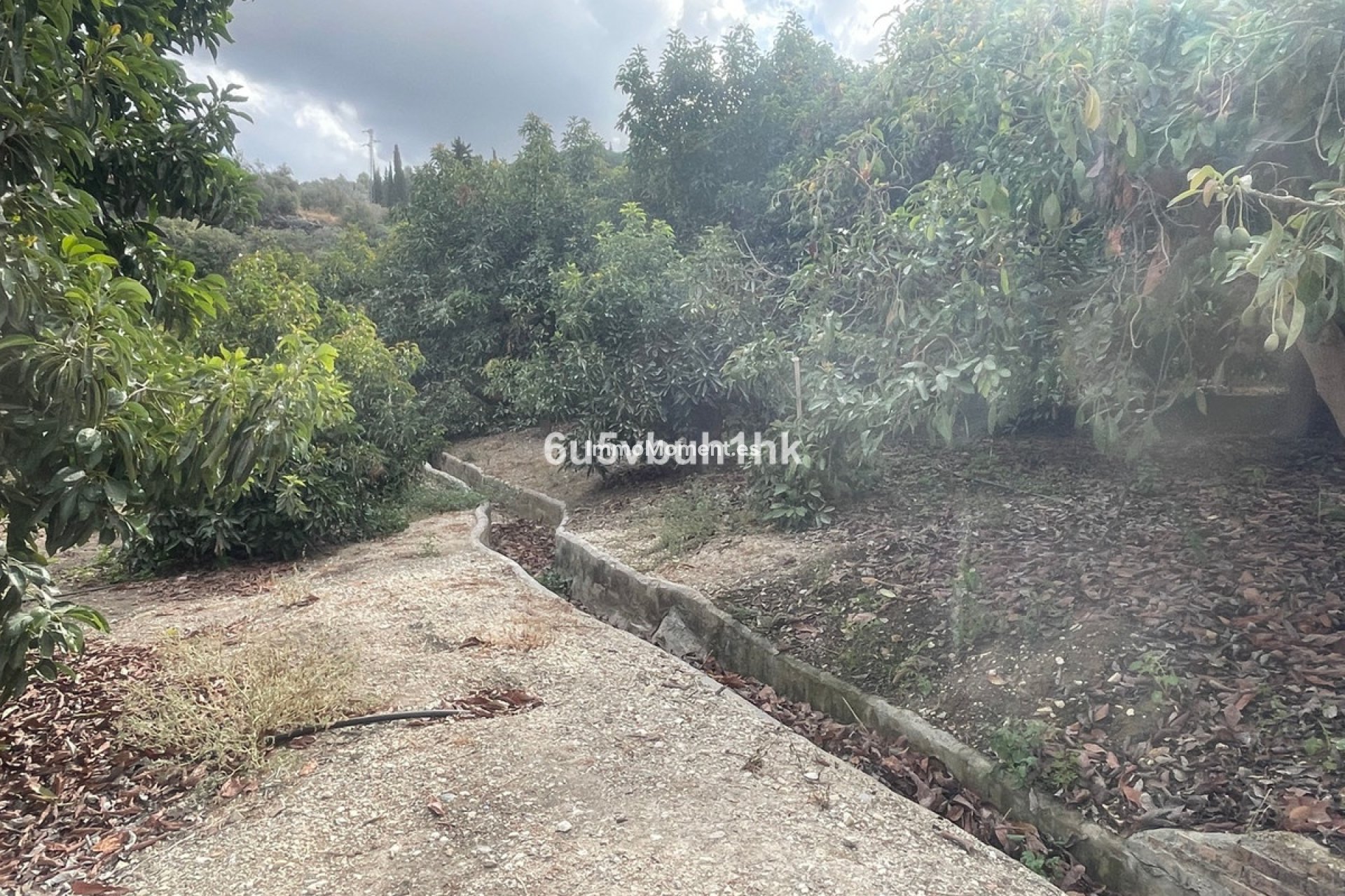 Reventa - Casa de campo - Interior  - Coín