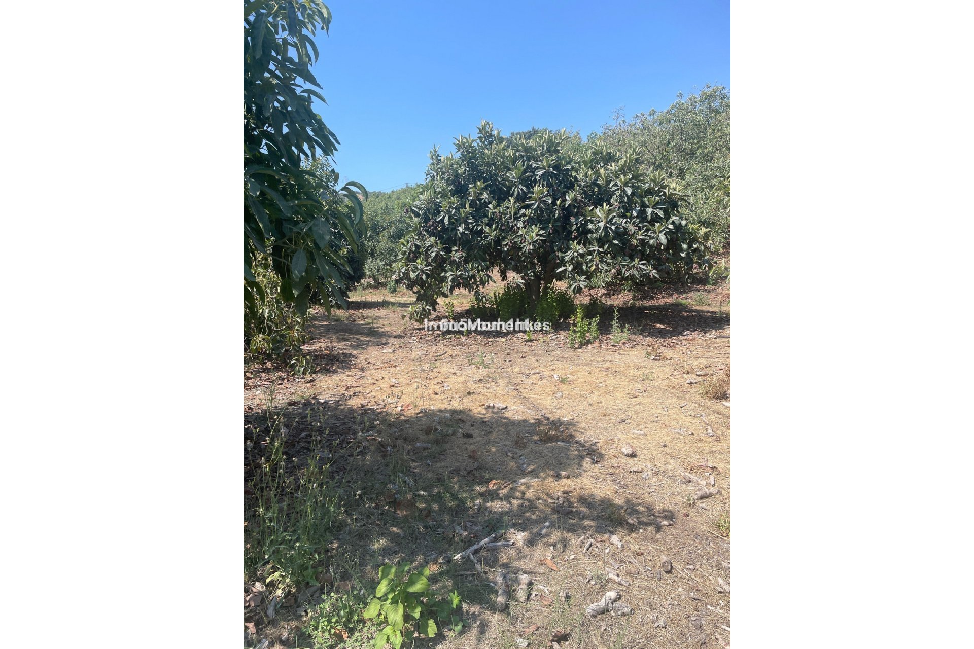 Reventa - Casa de campo - Interior  - Coín