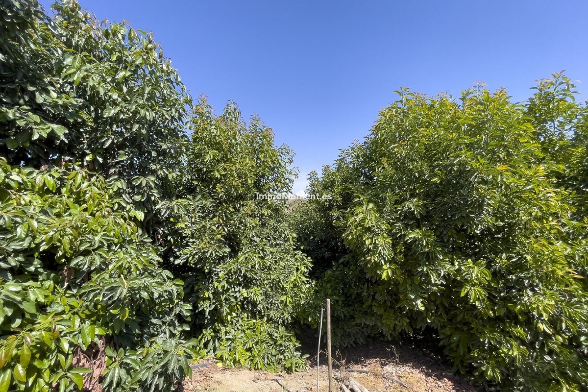 Reventa - Casa de campo - Interior  - Coín
