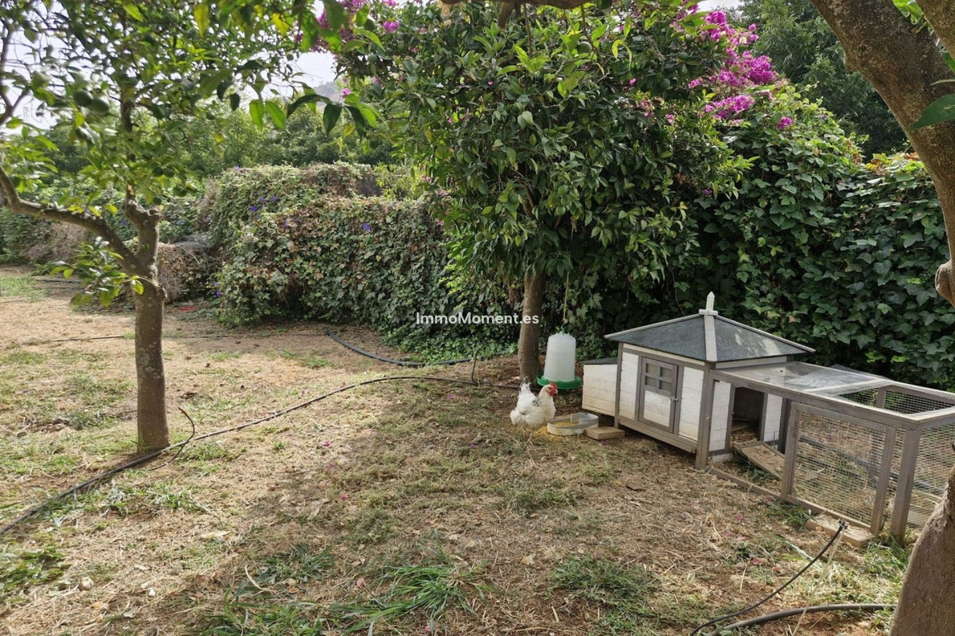 Reventa - Casa de campo - Interior  - Coín