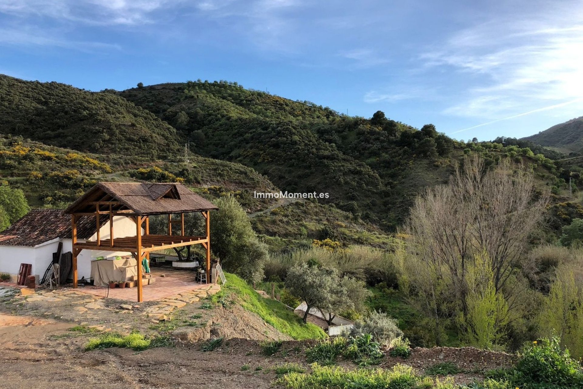 Reventa - Casa de campo - Interior  - Guaro