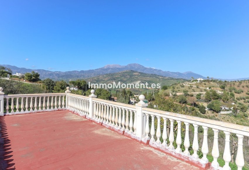 Reventa - Casa de campo - Interior  - Guaro