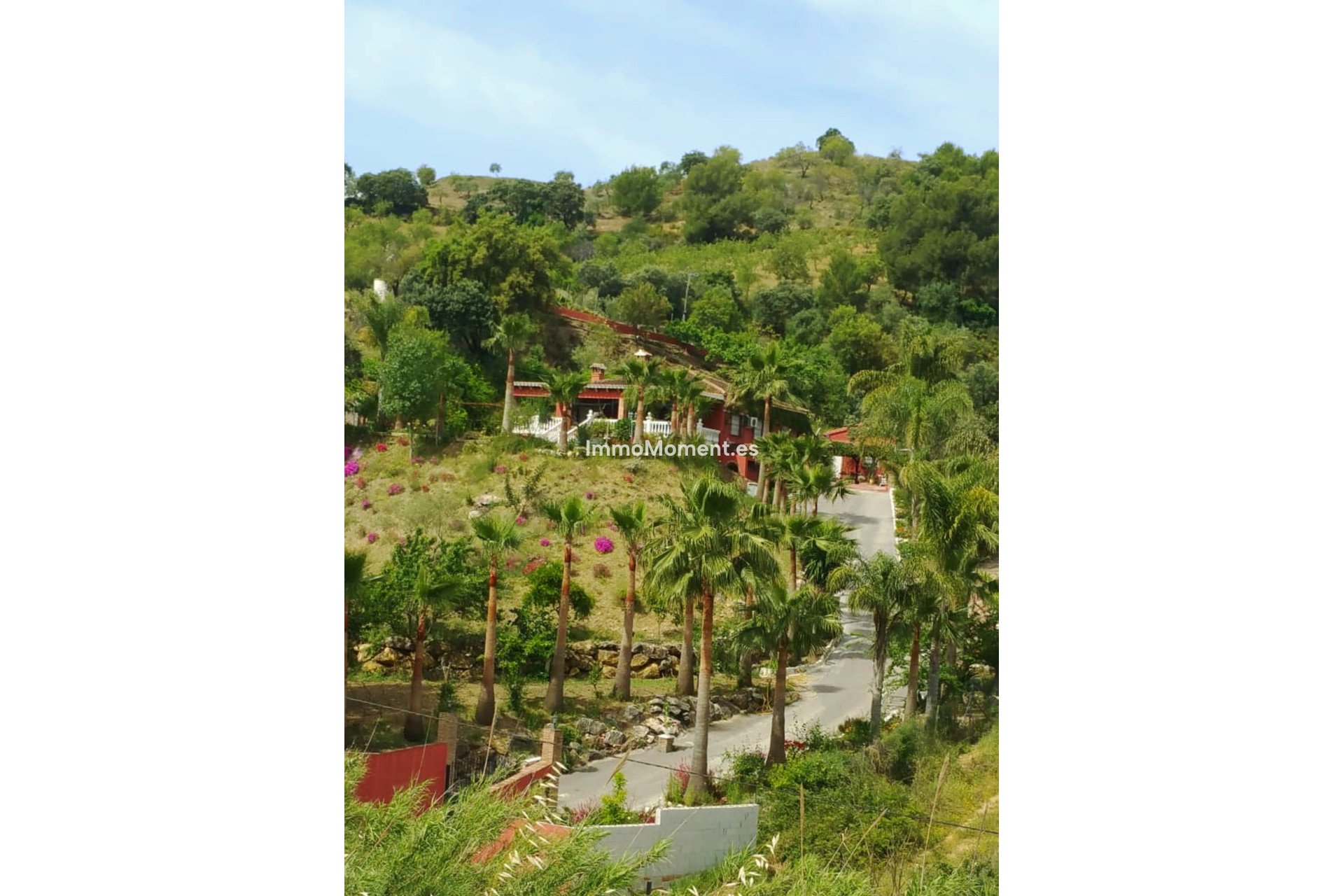 Reventa - Casa de campo - Interior  - Monda