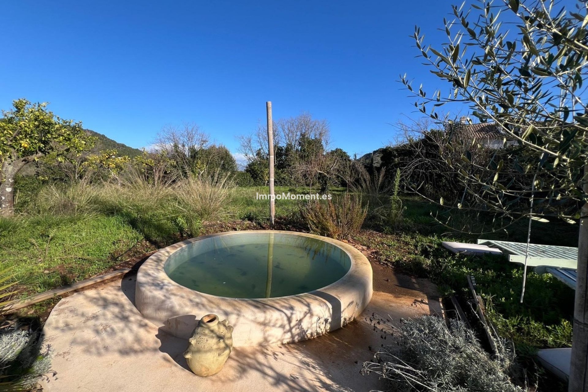 Reventa - Casa de campo - Interior  - Monda