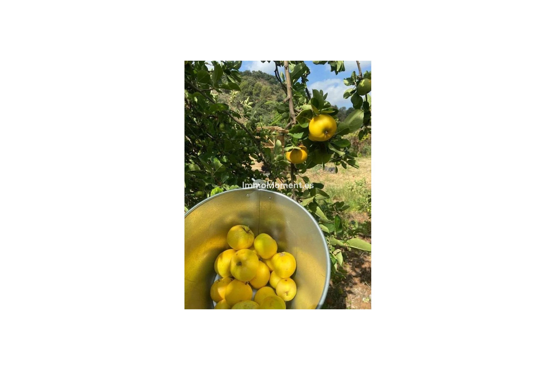 Reventa - Casa de campo - Interior  - Monda