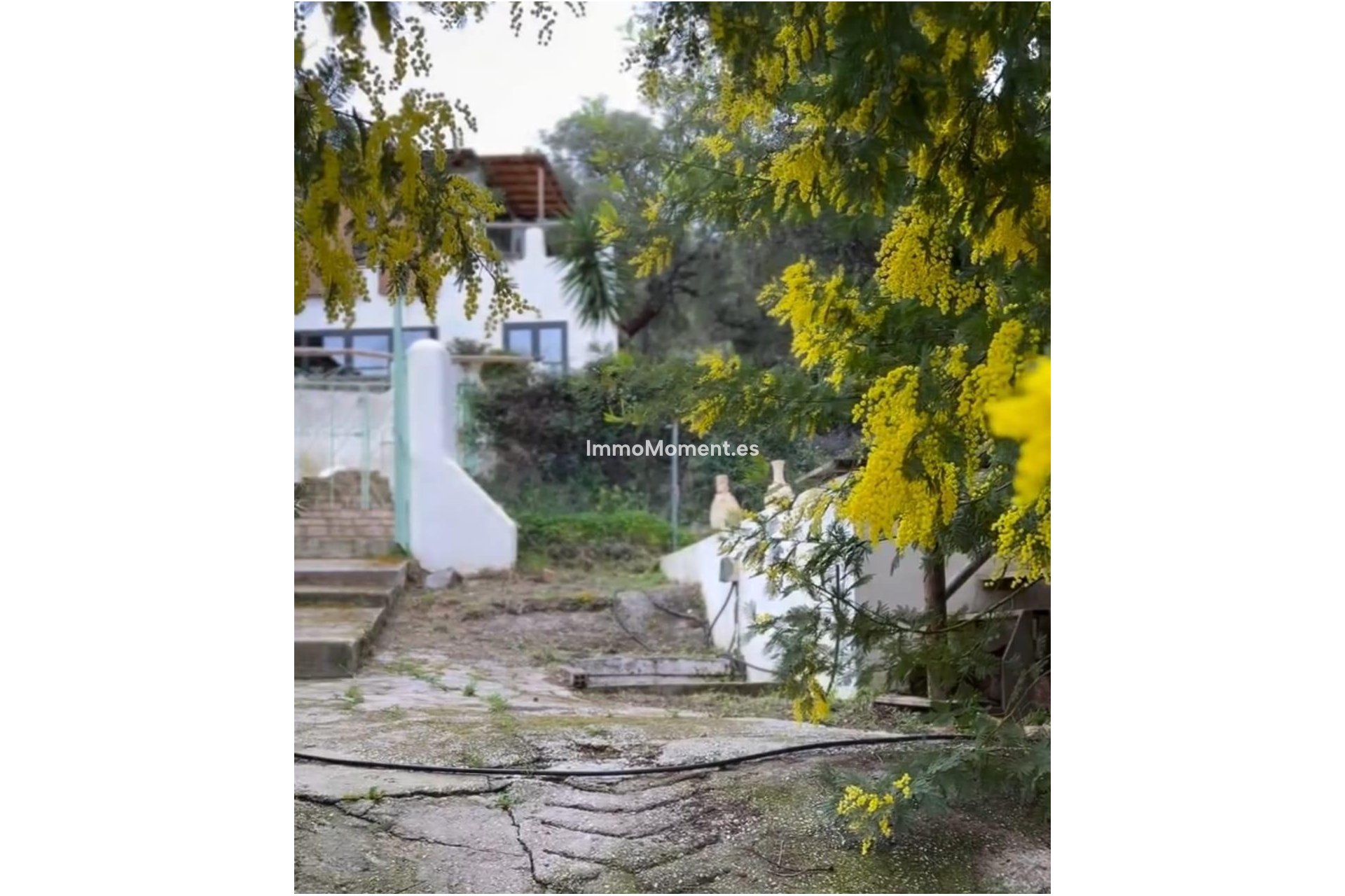 Reventa - Casa de campo - Interior  - Monda