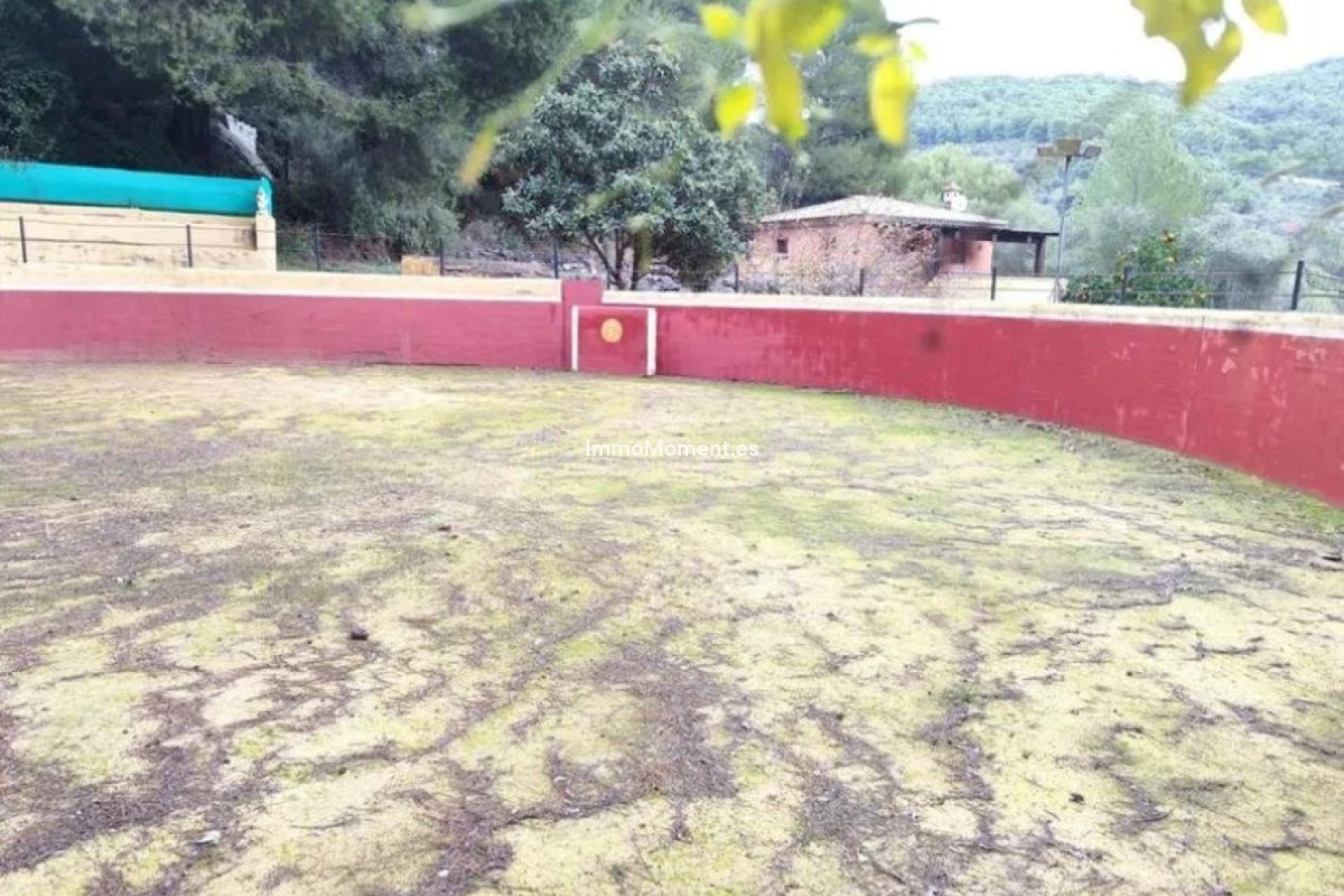 Reventa - Casa de campo - Interior  - Monda