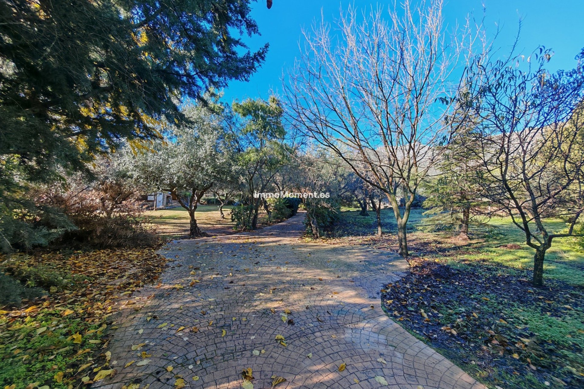 Reventa - Casa de campo - Interior  - Ojén