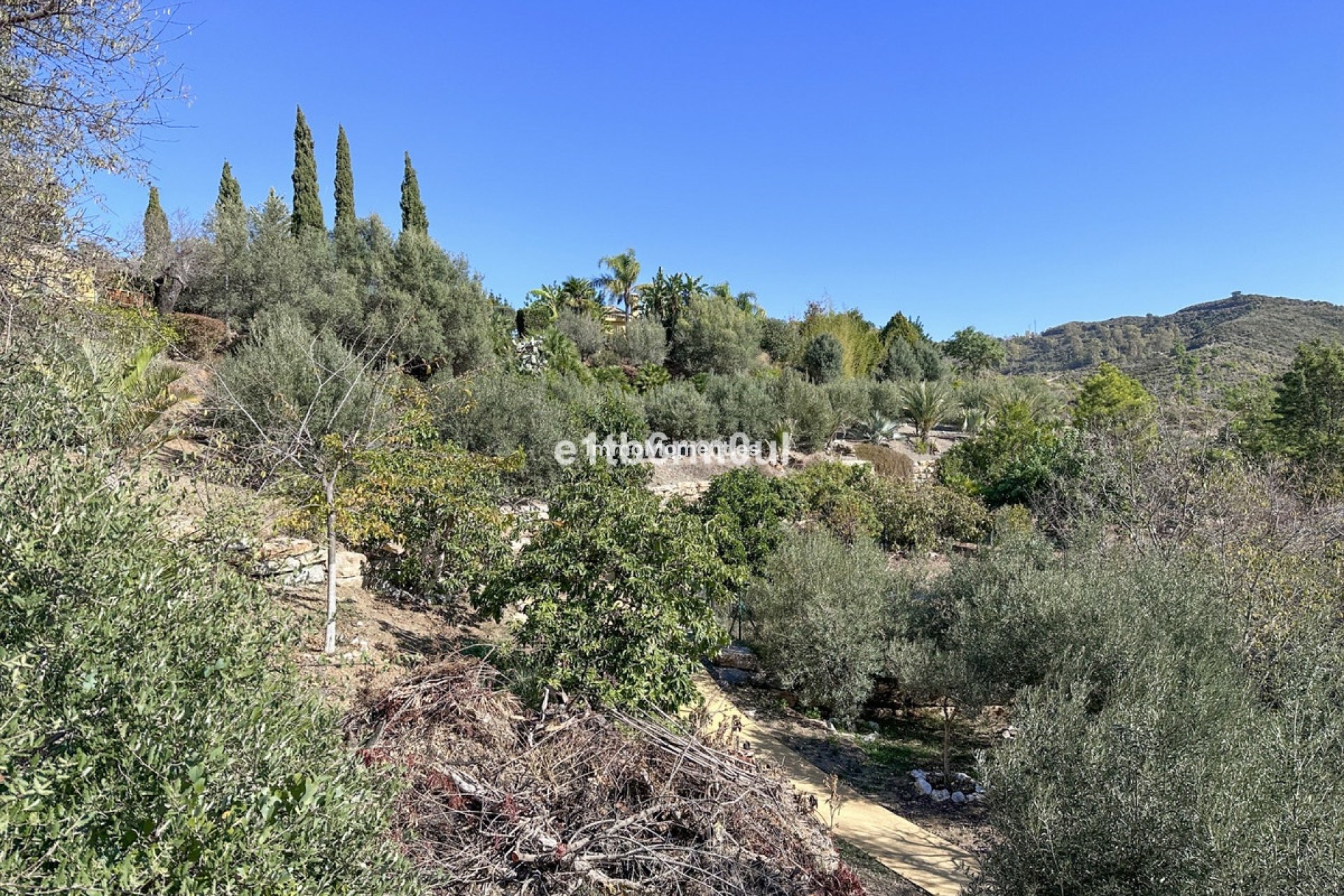 Reventa - Casa de campo - Interior  - Ojén