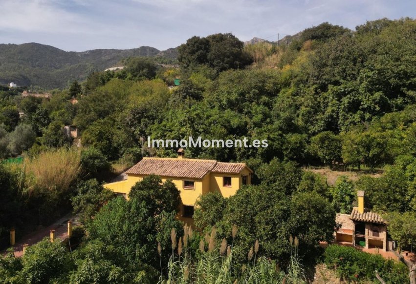 Reventa - Casa de campo - Interior  - Ojén