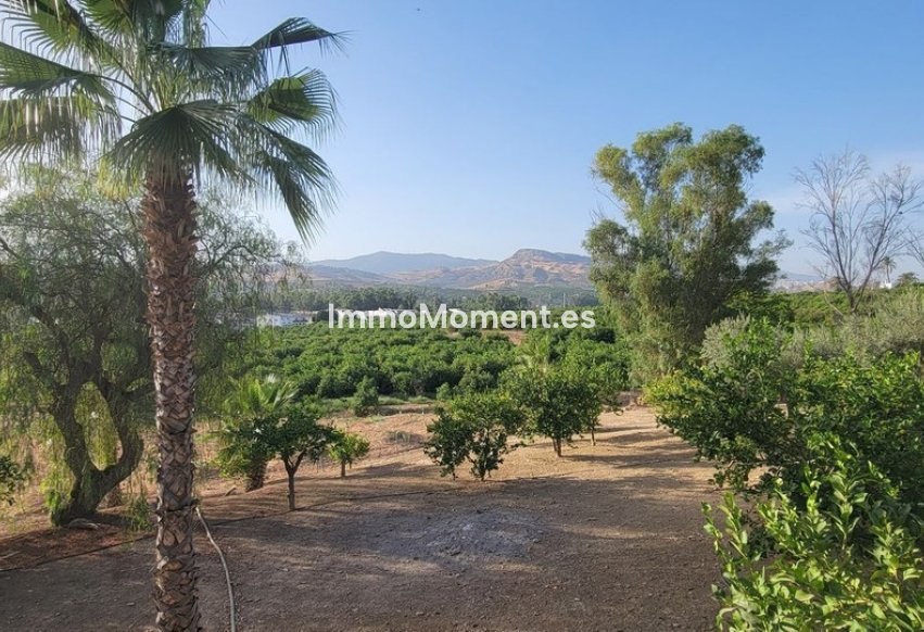 Reventa - Casa de campo - Interior  - Pizarra