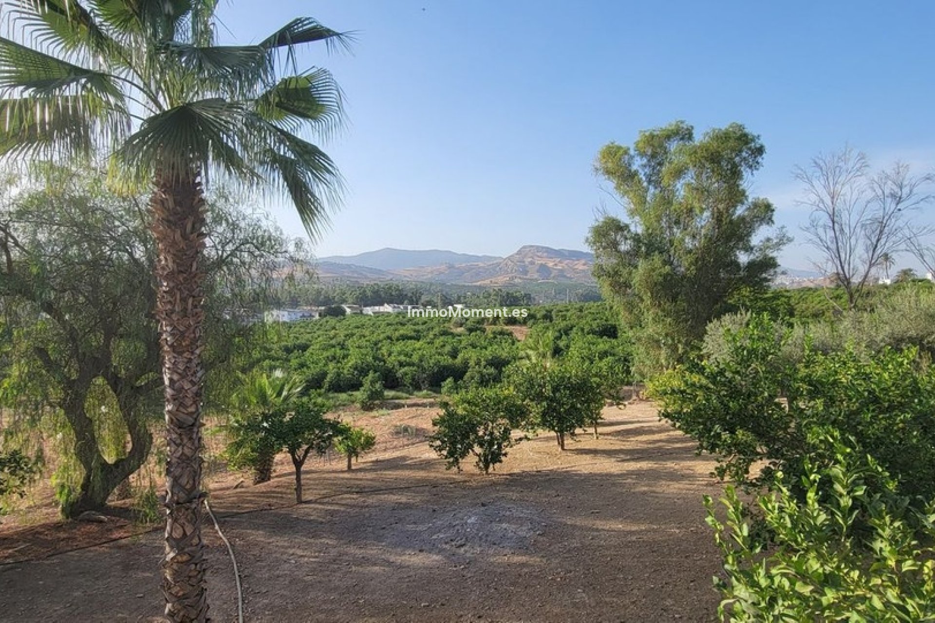 Reventa - Casa de campo - Interior  - Pizarra