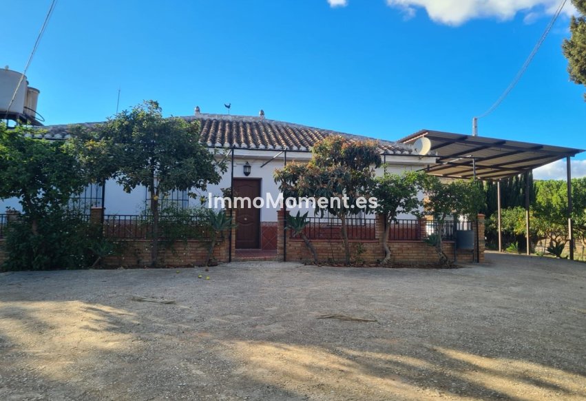 Reventa - Casa de campo - Interior  - Pizarra