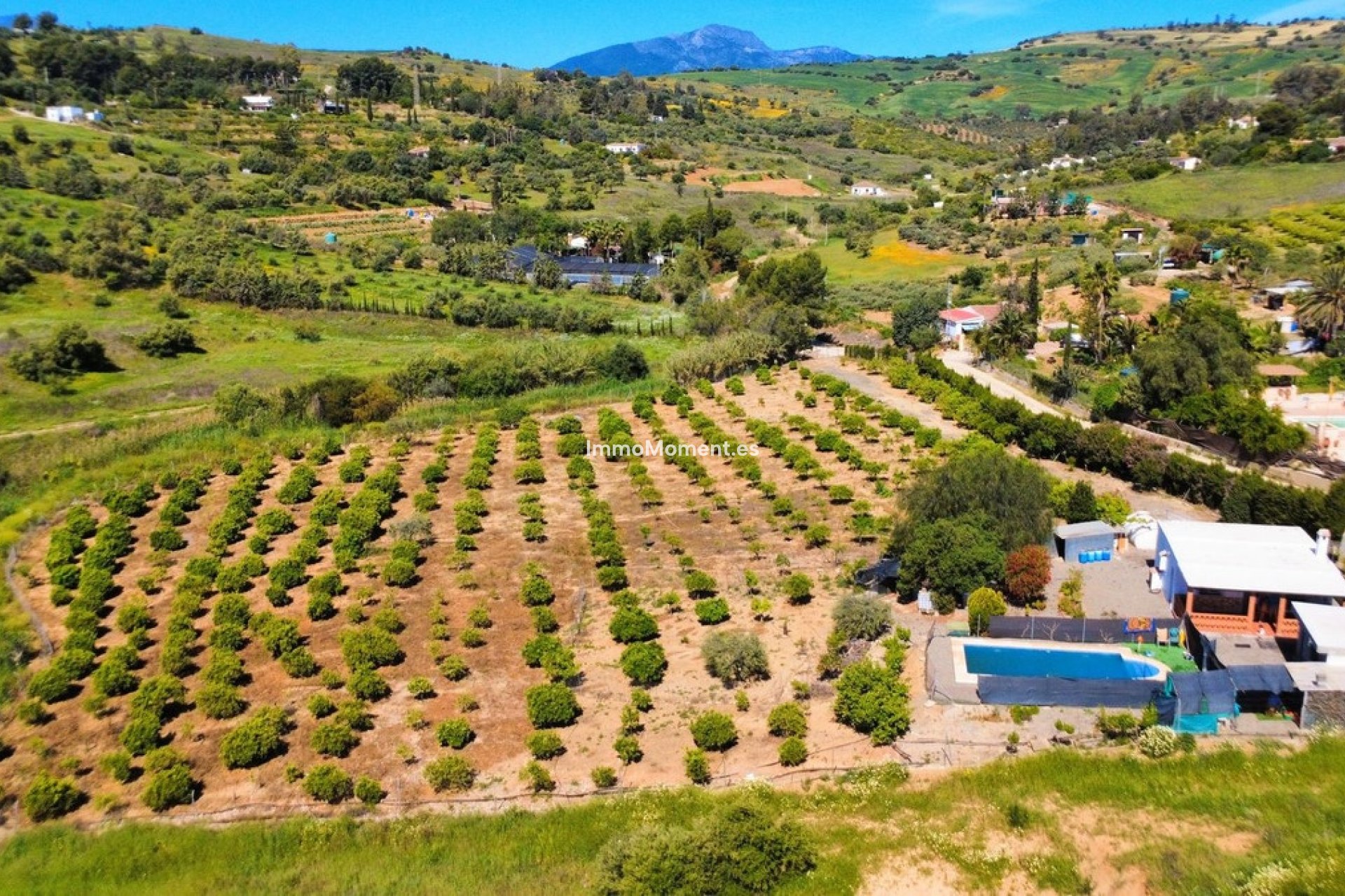 Reventa - Casa de campo - Interior  - Pizarra