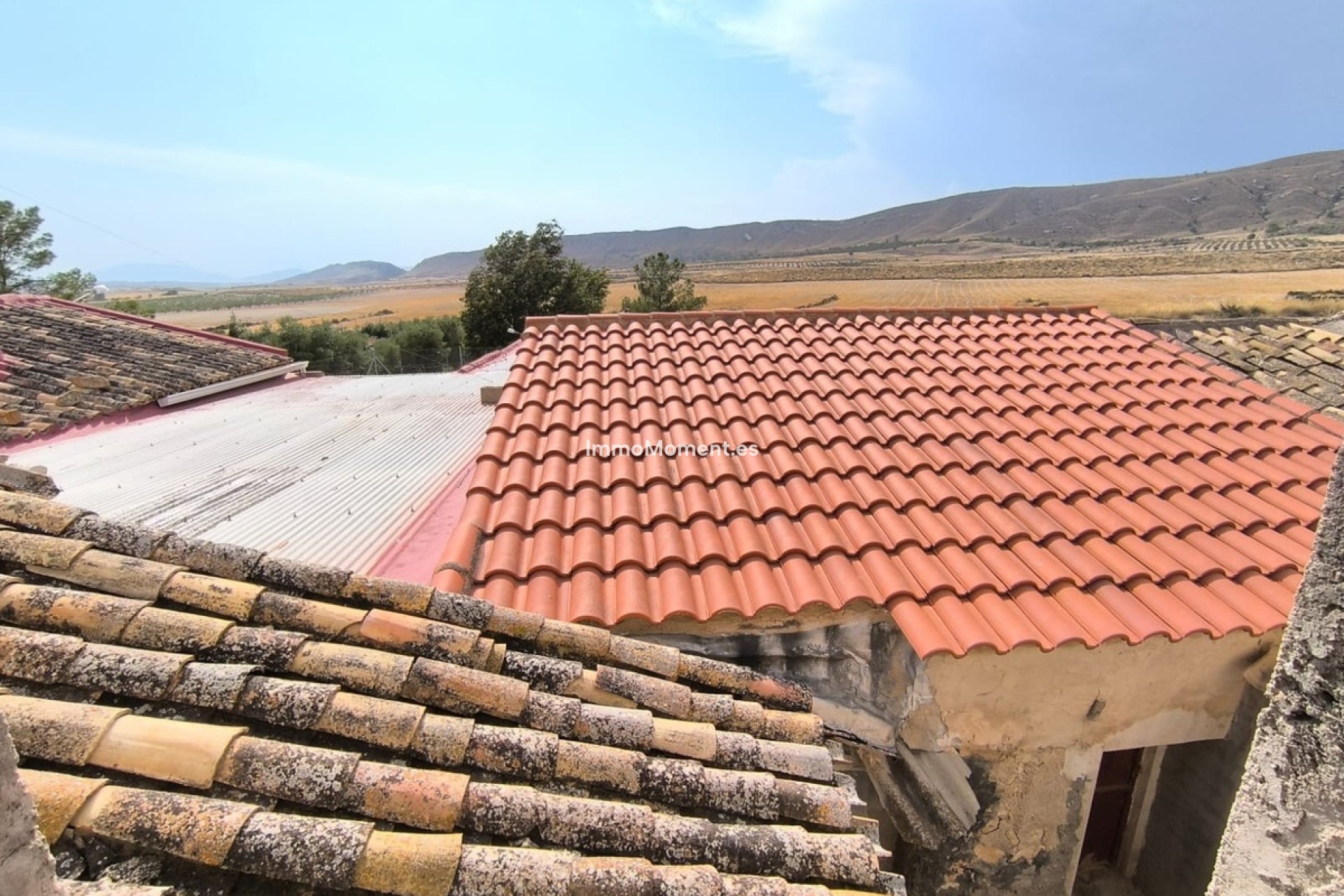 Reventa - Casa de campo - Jumilla - Jumilla Centro