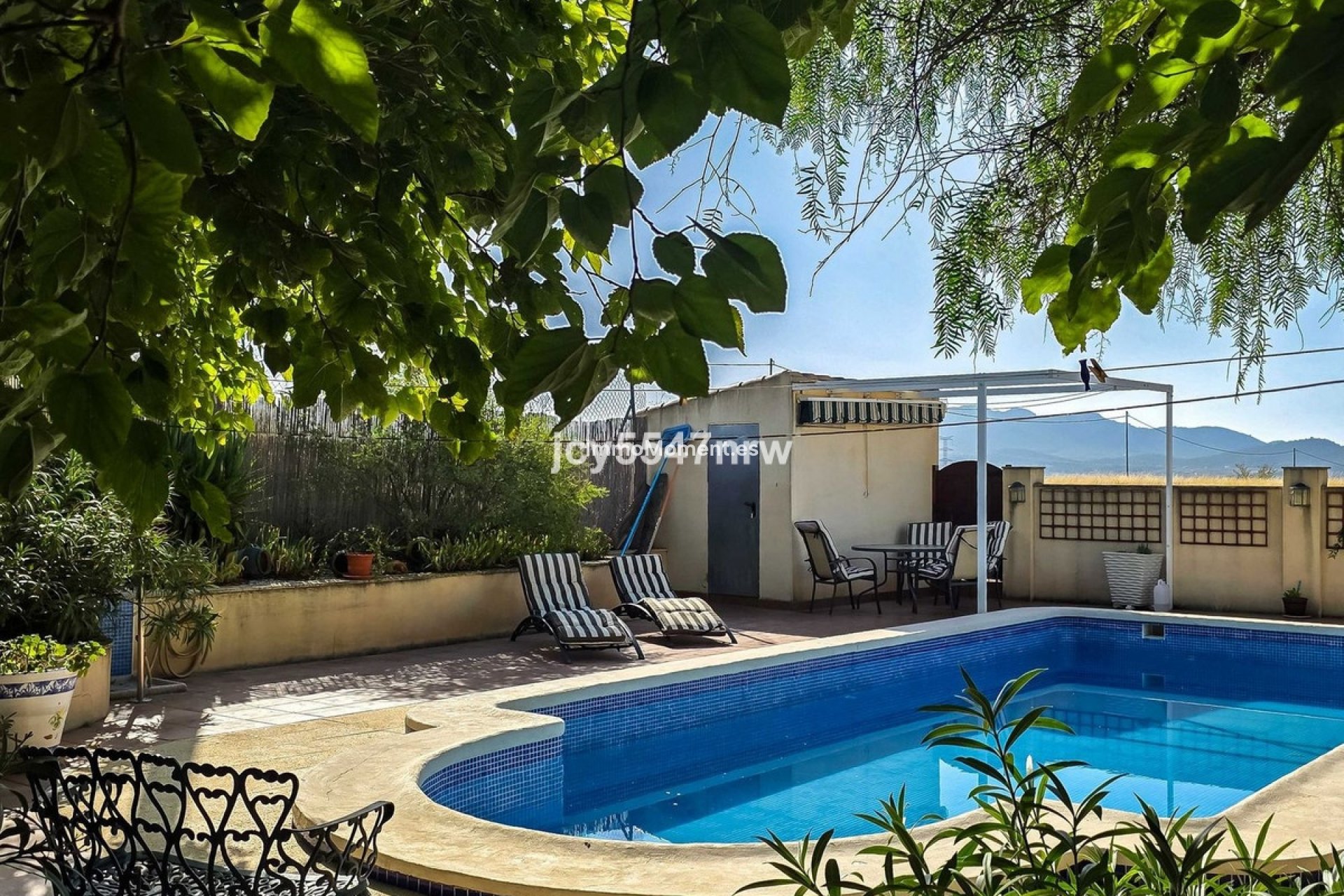 Reventa - Casa de campo - Jumilla - Torre Del Rico