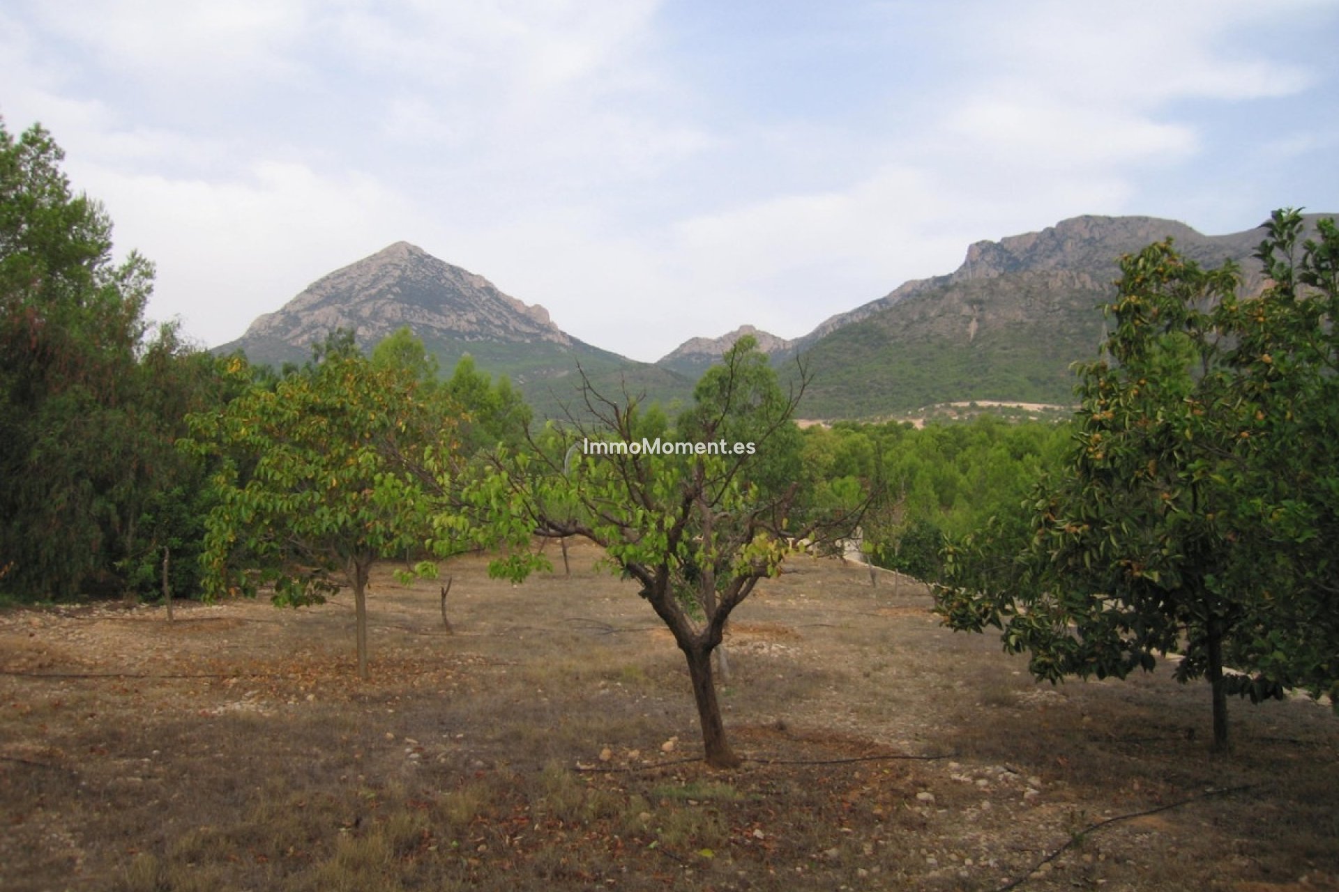 Reventa - Casa de campo - La Nucía - La Nucia Centro