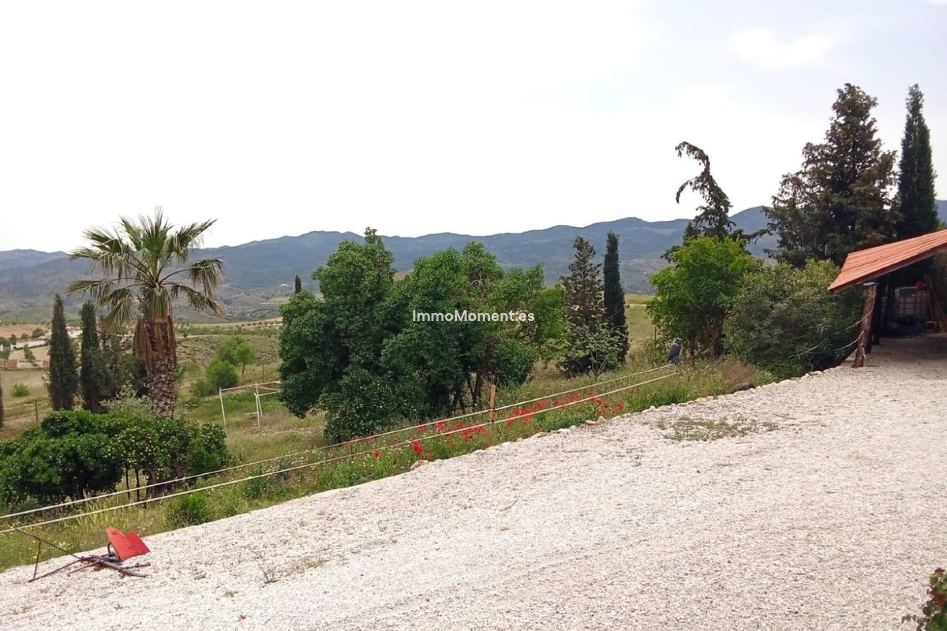 Reventa - Casa de campo - Lorca - Lorca Centro