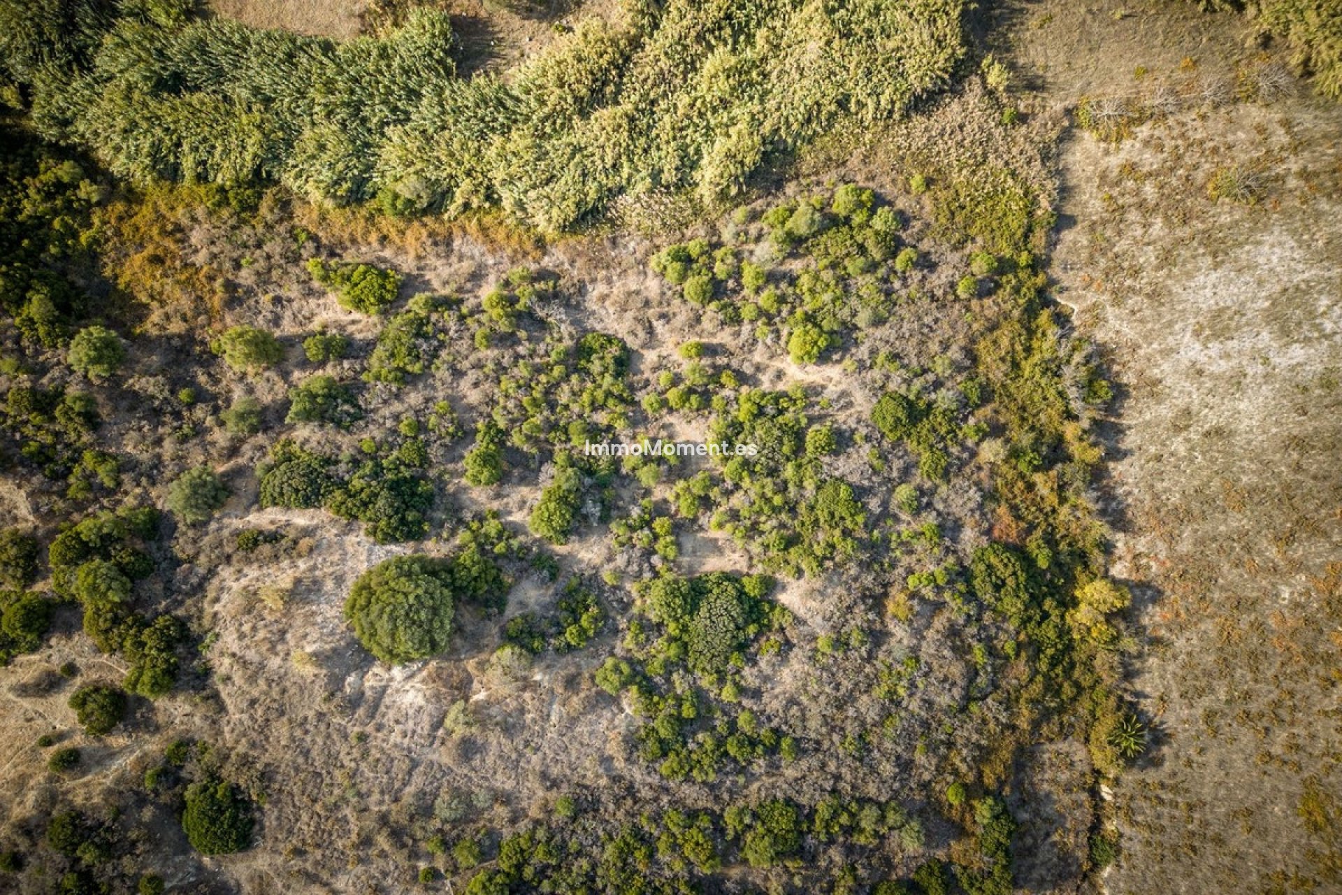 Reventa - Casa de campo - Manilva