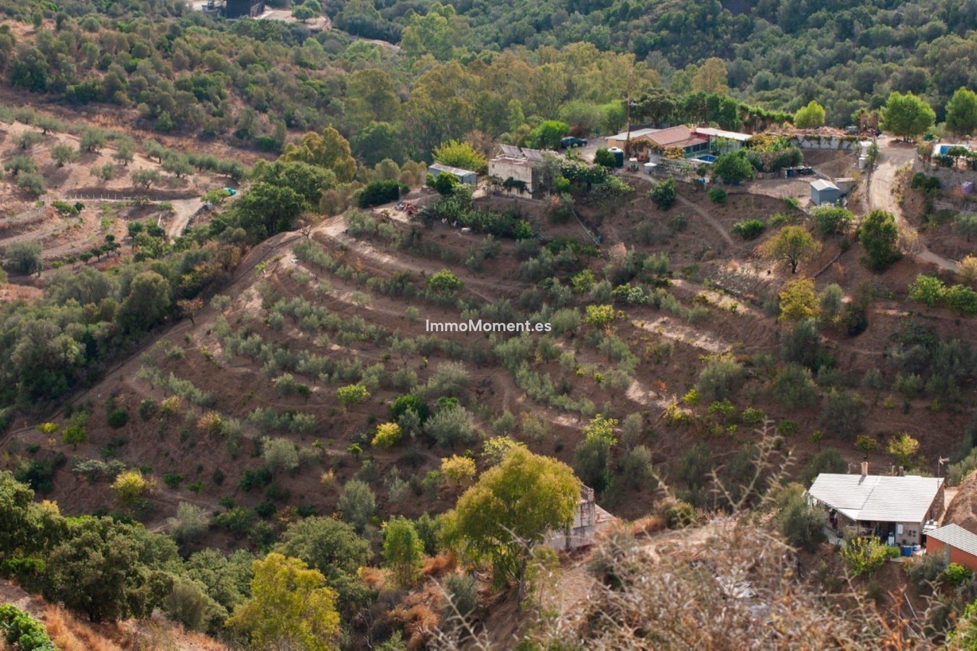 Reventa - Casa de campo - Marbella - Altos de los Monteros