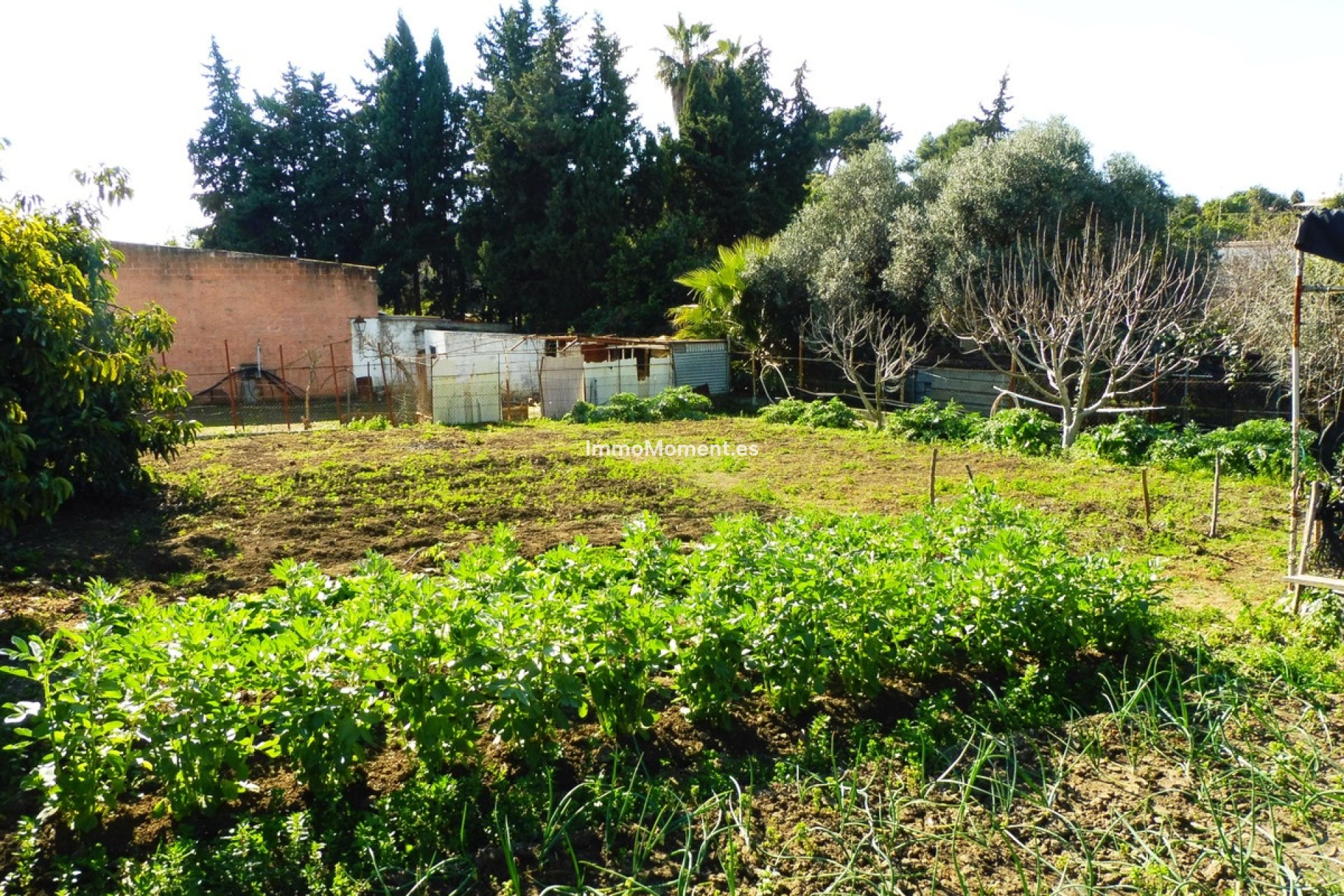 Reventa - Casa de campo - Marbella - Marbella Centro