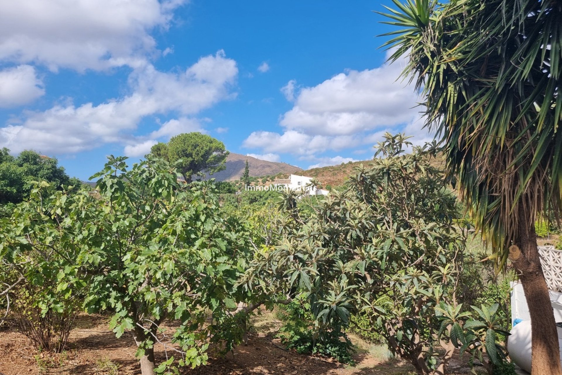 Reventa - Casa de campo - Mijas - Entrerrios