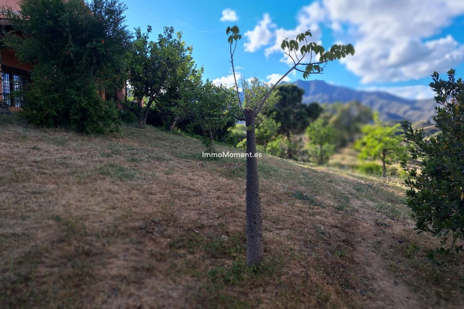 Reventa - Casa de campo - Mijas - Entrerrios