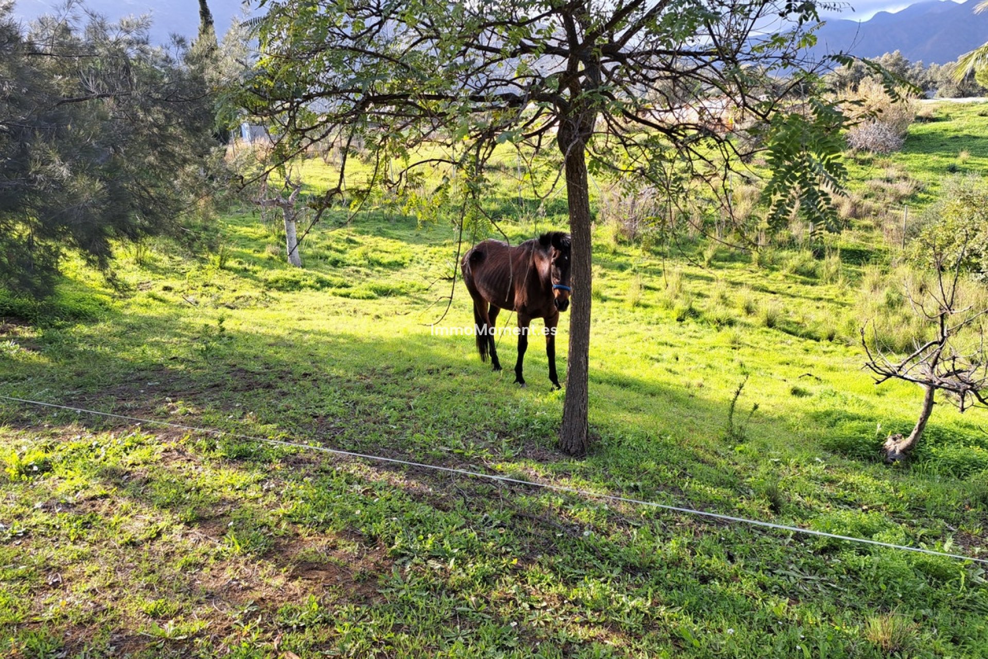 Reventa - Casa de campo - Mijas - Entrerrios