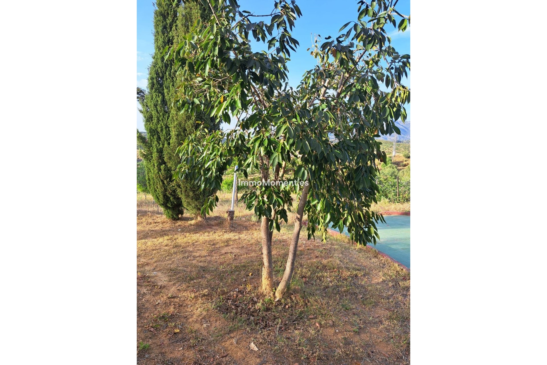 Reventa - Casa de campo - Mijas - La Cala de Mijas