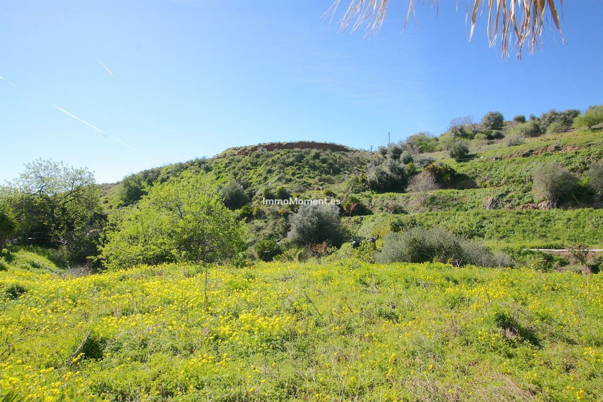 Reventa - Casa de campo - Mijas - Mijas Centro