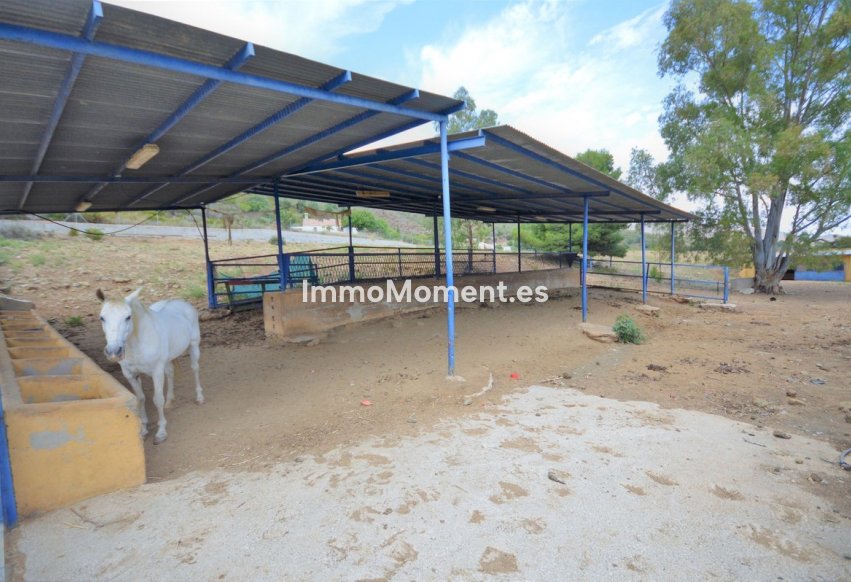 Reventa - Casa de campo - Mijas - Mijas Centro