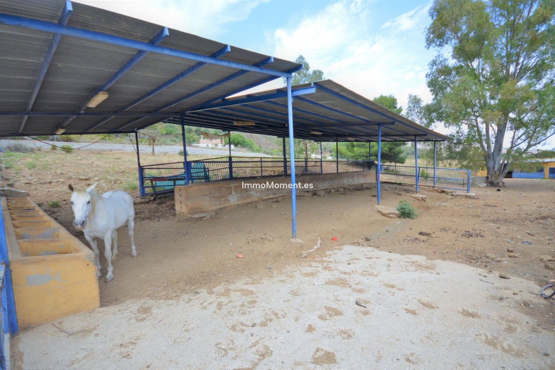 Reventa - Casa de campo - Mijas - Mijas Centro