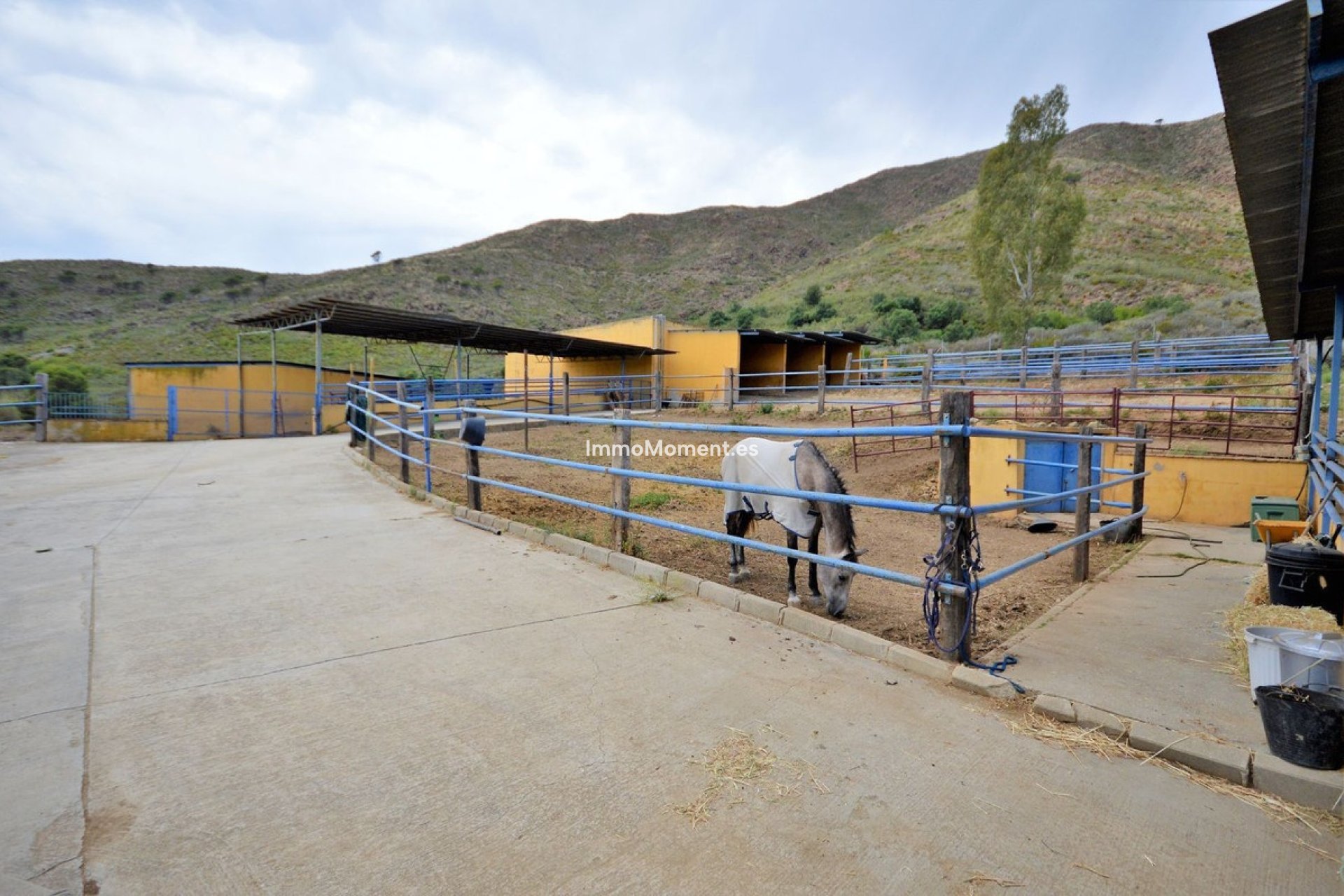 Reventa - Casa de campo - Mijas - Mijas Centro