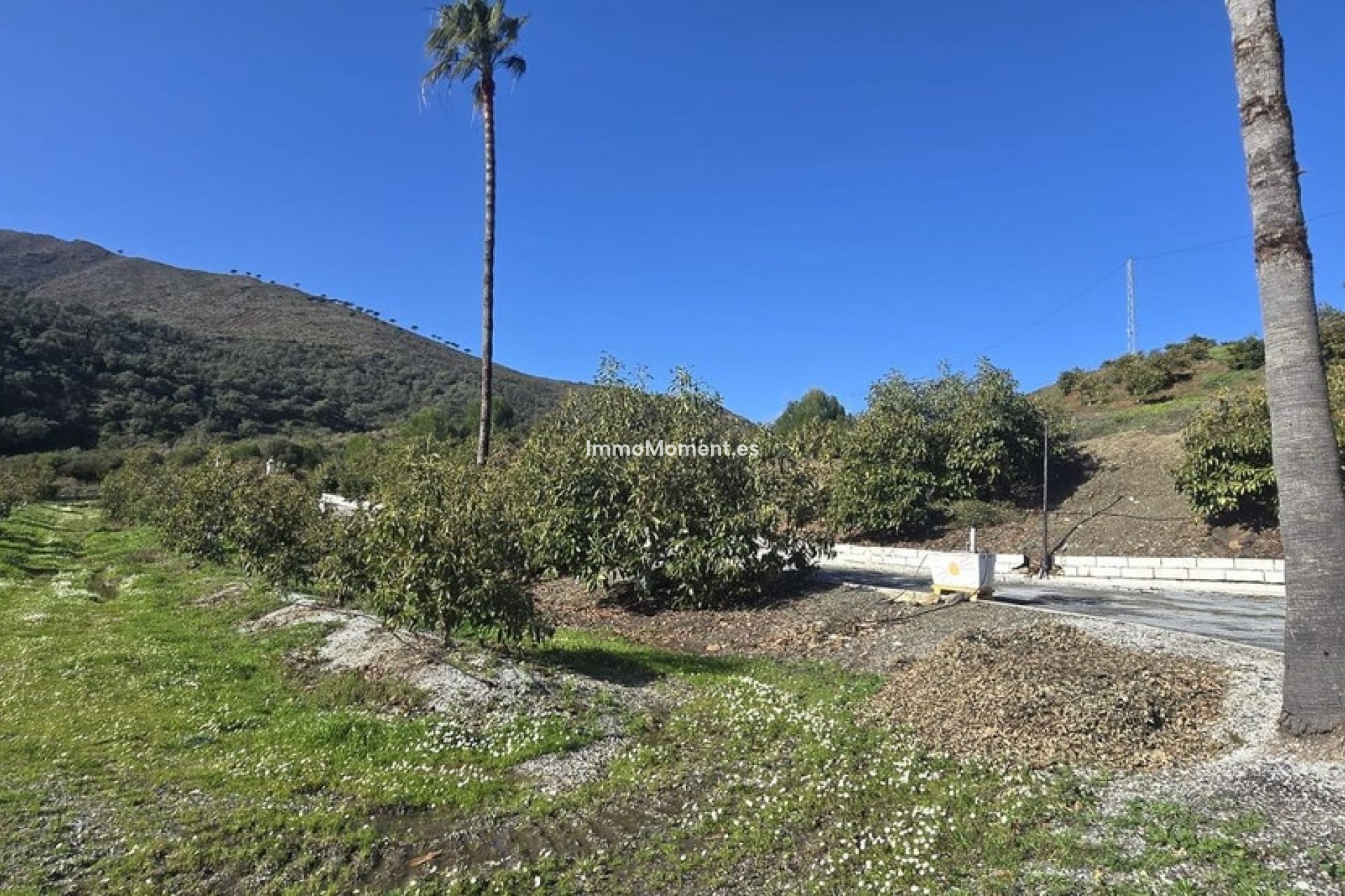 Reventa - Casa de campo - Mijas - Mijas Centro