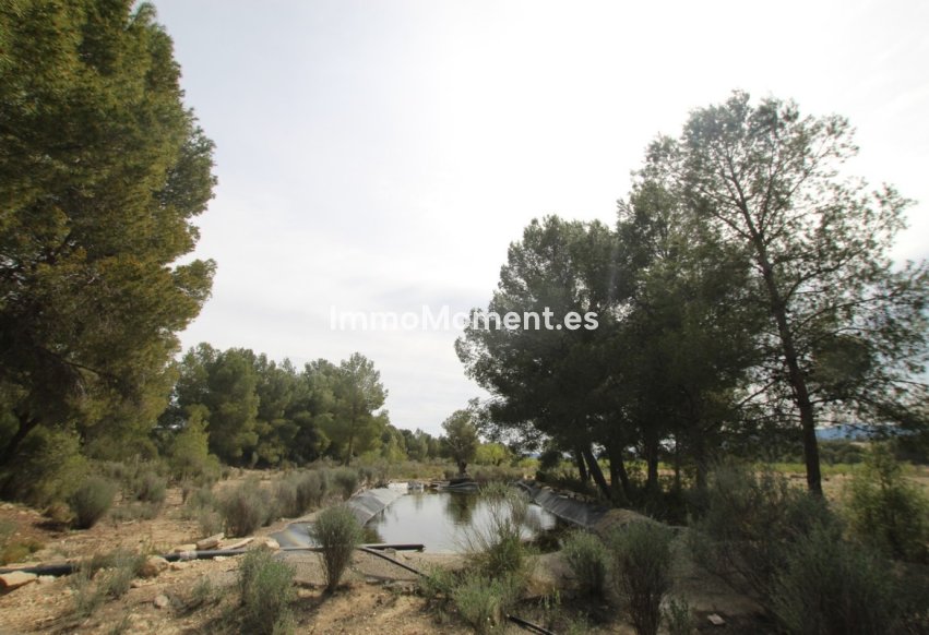 Reventa - Casa de campo - Monóvar - Monòver - Monóvar - Monòver Centro