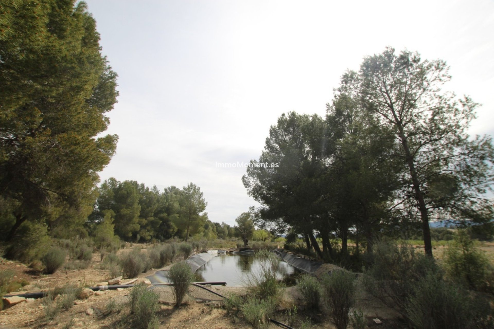 Reventa - Casa de campo - Monóvar - Monòver - Monóvar - Monòver Centro