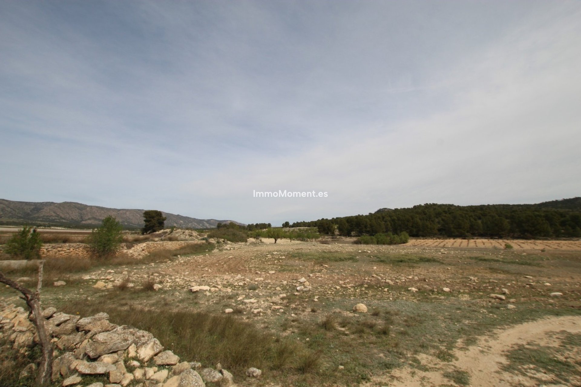 Reventa - Casa de campo - Monóvar - Monòver - Monóvar - Monòver Centro