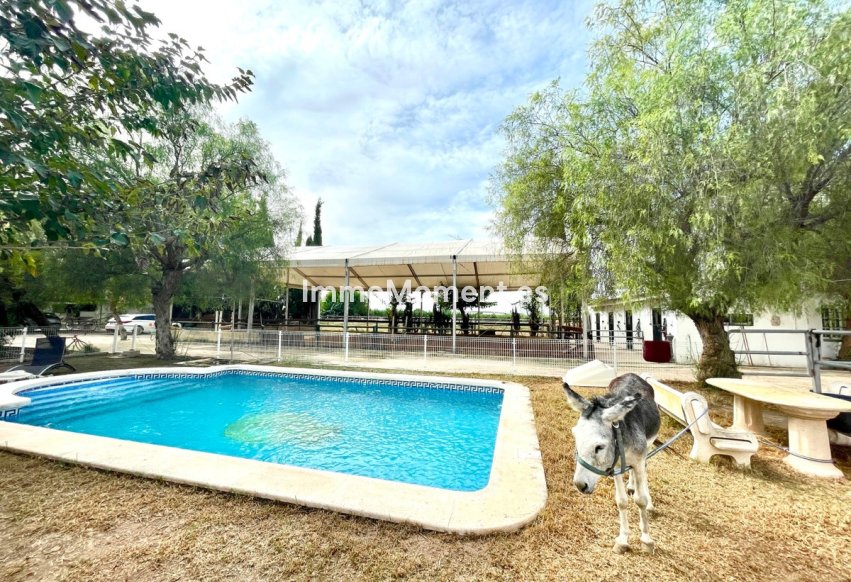 Reventa - Casa de campo - Orihuela - Orihuela Centro
