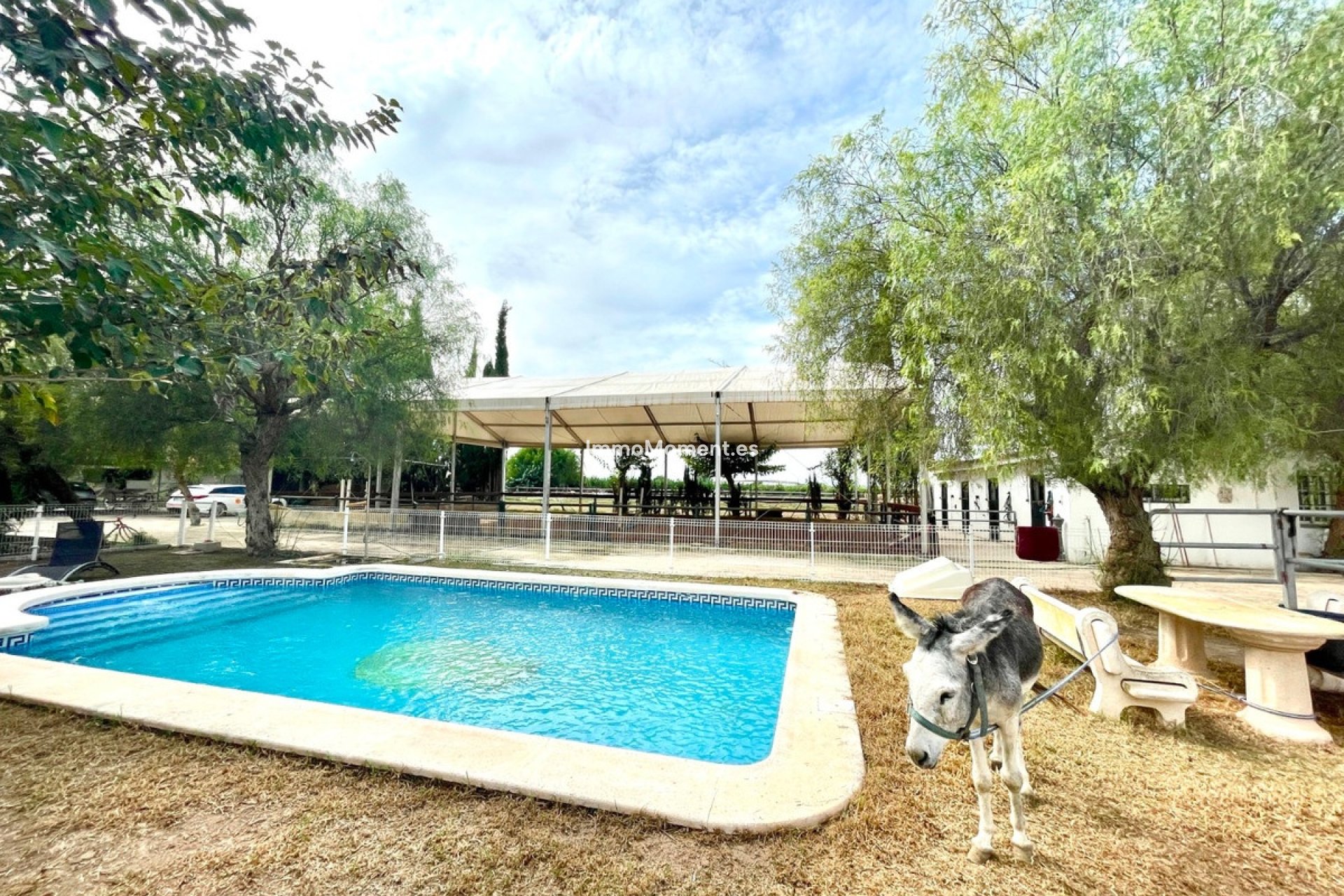 Reventa - Casa de campo - Orihuela - Orihuela Centro